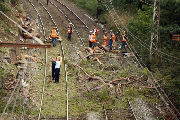 Eight passengers badly hurt as French train hits fallen tree 